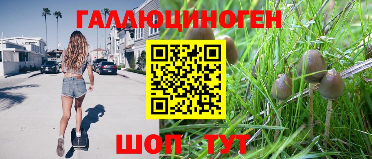 Галлюциногенные грибы прущие грибы  как найти наркотики  Ржев  Вход с VPN 