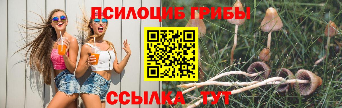 Каннабис  Ржев  ГАШИШ  МЕФ кристаллы  МЕФ  Вход с VPN  Alpha-PVP СК  